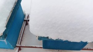 13.01.26. Пасека в сугробах!!! Как птички извели семью?