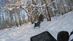 Мотобуксировщики Альбатрос! Набиваем дорогу к лесному озеру!