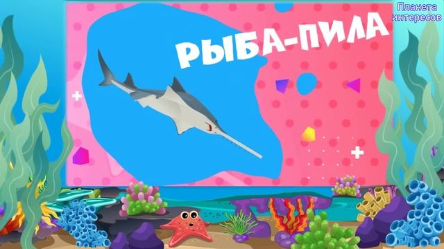 Под водой - Морские жители - Познавательное для детей смотреть онлайн