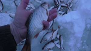 УЛОВИСТЫЙ ЧЁРТИК НА ПЛОТВУ. ОДИН НА РЕКЕ, ВСЯ РЫБА МОЯ.