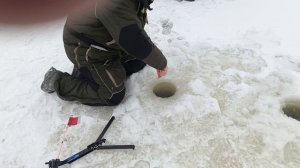 VID_20260113_101643_909