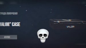 Стандофф 2 выпал кейс