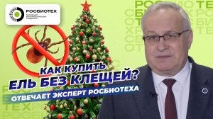 Ветеринар рассказал, как купить елку без клещей | Мир 24