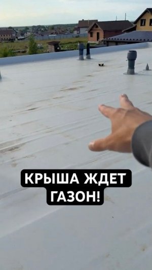 🌿 Зелёная крыша и уход за ней: что важно знать? Показываю готовый пример!