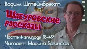 Вадим Штейнбрехт _Шабуровские рассказы_ 4 часть эпизоды 38-49 Читает Марина Багинская