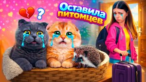 Я уехала и отдала питомцев. оставила кошечку Баттерс, котика Персика и Ежика Бруно