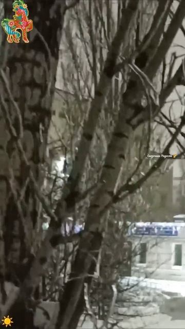 #мояпрогулка #зимняя #снежная #радостьдня #снег #красиво #моиэмоции #радость #впечатление #событиедн смотреть онлайн