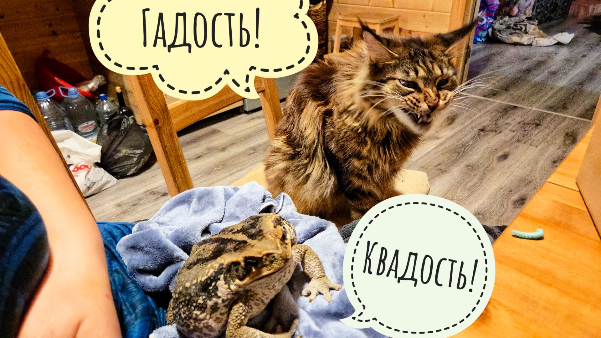 Сова Ёль топчет тропиночку. Впихиваю в жабу Брунгильду голубых гусениц против её воли смотреть онлайн