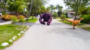 Весёлый кемпинг в палатке — удивительные приключения!