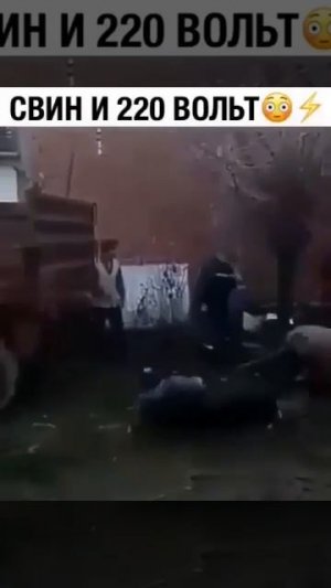 На любое действие может быть реакция, иногда даже более быстрая, чем само действие.