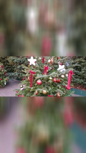 Новый год 2026 смотреть онлайн