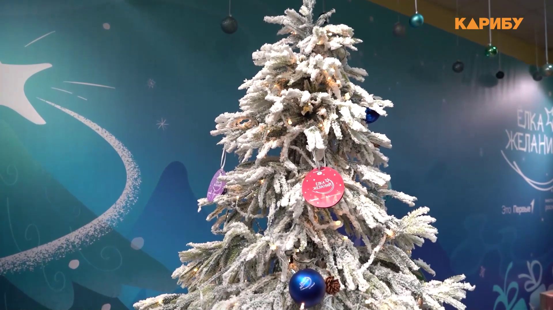 До 28 февраля продолжается Всероссийская акция «Ёлка желаний» смотреть онлайн