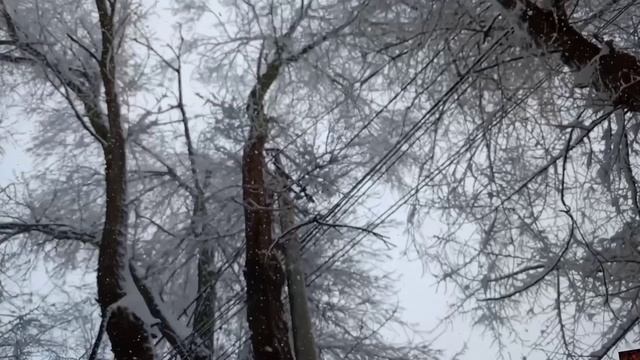 НЕ ЖИВЁМ БОГАТО смотреть онлайн