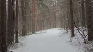 Зимняя сказка