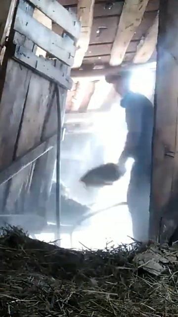 I'm cleaning up the manure смотреть онлайн