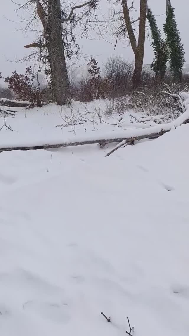 Сукко 12 января 2026 прошло под снегом. ЖК Кипарис не узнать? смотреть онлайн