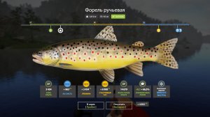 Русская Рыбалка 4-Новогодние Экстра Задания 2026: Форель ручьевая р. Белая