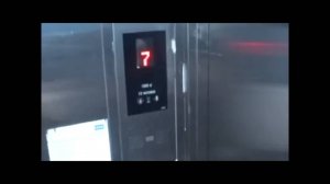 #смешныевидео -247