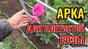 КАК СДЕЛАТЬ АРКУ ДЛЯ ПЛЕТИСТОЙ РОЗЫ, КЛЕМАТИСА ИЛИ ВИНОГРАДА
