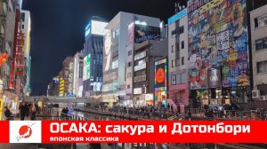 ЯПОНИЯ из окна поезда эп02: ОСАКА, Сакура и Дотонбори