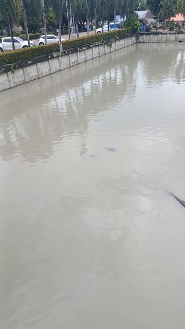 Не «посмотреть храм». А пройти через Храм, где победили не врага, а самого себя смотреть онлайн