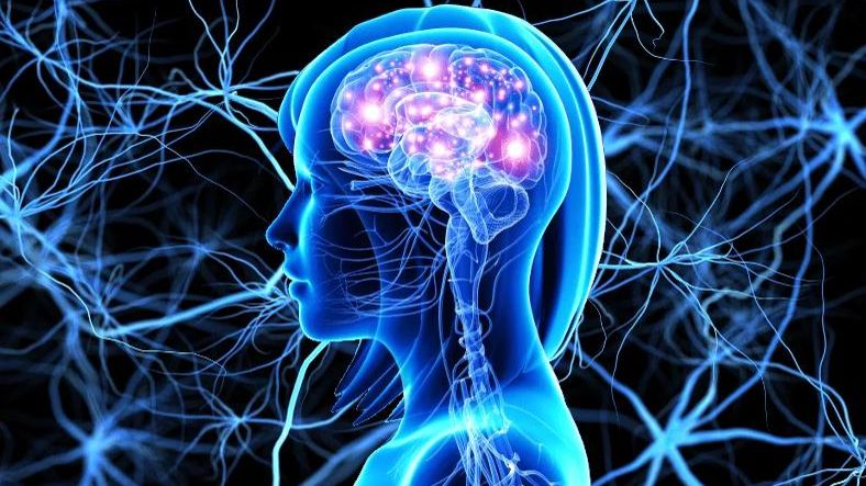 Сводный пост посвящённый различению между истинным и мнимым я смотреть онлайн