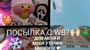 РАСПАКОВКА И ОБЗОР ПОСЫЛКИ С WB)  ЧТО Я ПОДАРИЛА МИЛКЕ НА НАЧАЛО ТРЕТЬЕЙ ЧЕТВЕРТИ) 🙌🏻♥