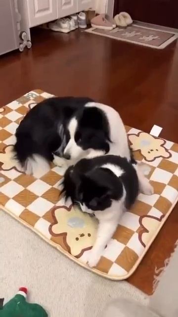 Двое из ларца смотреть онлайн