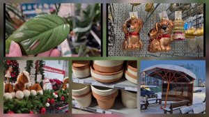 Vlog.Будни орхомана.По дороге в Максидом!