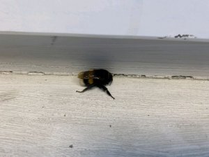 не знаю что