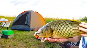 Рыбалка с ночевкой в палатке / Попали под дождь / Поймал САЗАНА