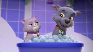 Щенячий патруль 1 сезон 1 серия