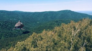 Белокуриха - бухта для китов