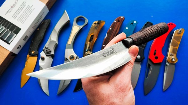 Давно не впечатлялся кухонным ножам! Tuotown Hai #unboxing #fishing #hunting #knife #super #survival