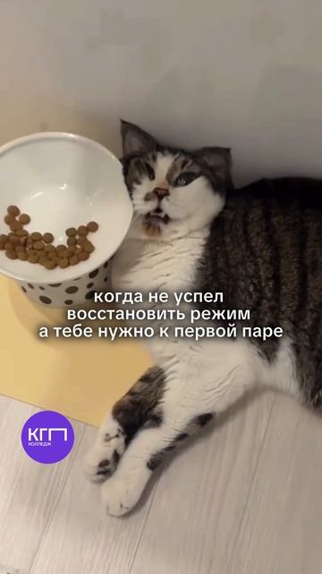 Восстанавливаем режим после январских 🥱