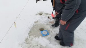 VID_20260113_101557_036