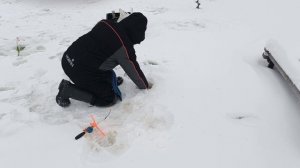 VID_20260113_101706_675