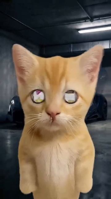 #коты #гта #Актив #анимация смотреть онлайн