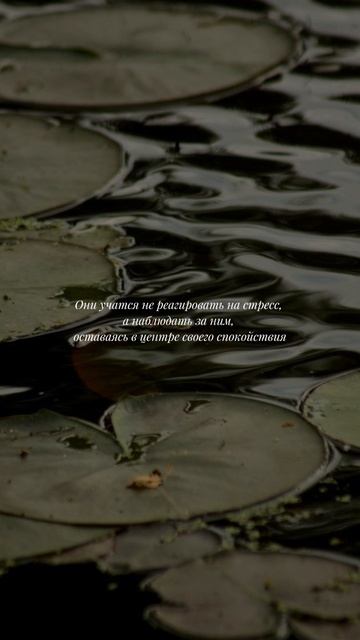 тгк: Emerald_academia