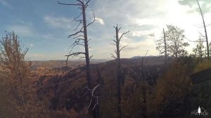 Белокуриха, Сухая грива (03.10.2015)