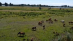 Рыбалка в Мумре, Астраханской области