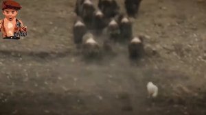 GARIK GARIK ПОЛЯРНЫЙ ВОЛК🙏