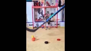 #смешныевидео -655