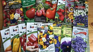 Что буду сеять в январе 2026