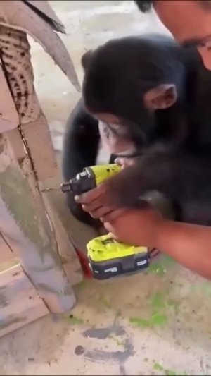 Видео от HackAvto – Лайфхаки и фишки для авто