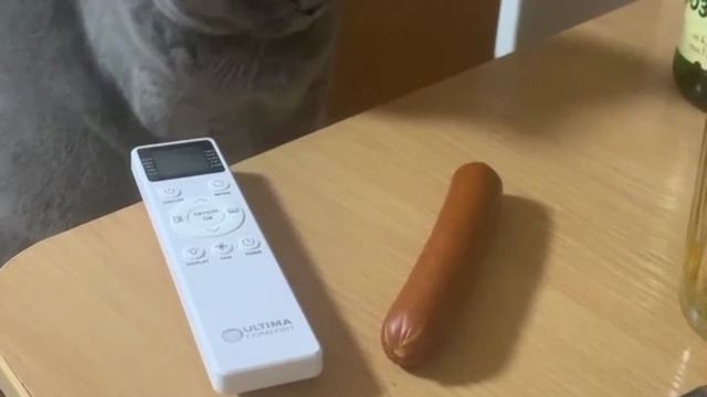 Кого я хочу обмануть!🙀 смотреть онлайн