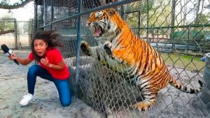 BRAIN TIME.  ЗАБАВНЫЕ МОМЕНТЫ С ЖИВОТНЫМИ, СНЯТЫЕ НА КАМЕРУ!