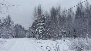 С наступающим новым 🎄 годом!
Grey Wiese "Je revies te chercher"