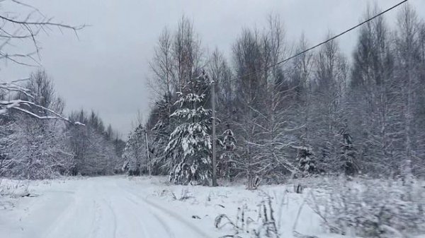 С наступающим новым 🎄 годом!
Grey Wiese "Je revies te chercher"