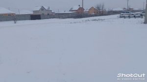 сугробы/что с животными?